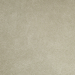 Outback Birch