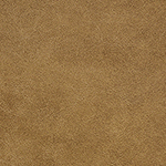 Outback Curry