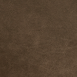 Outback Root