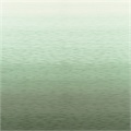 RX 4000 Privacy Curtain Fabric