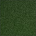 Symphony Classic Fern